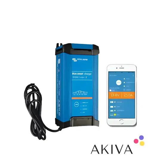 Blue Smart IP22 Charger 12/20 with phone app for efficient battery management